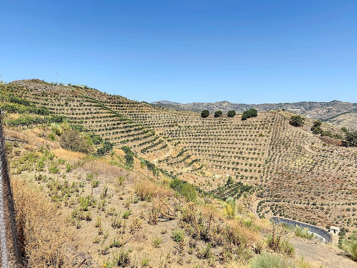Se vende Terreno Rustico de 1 dormitorios en Costa Del Sol East, Málaga, España