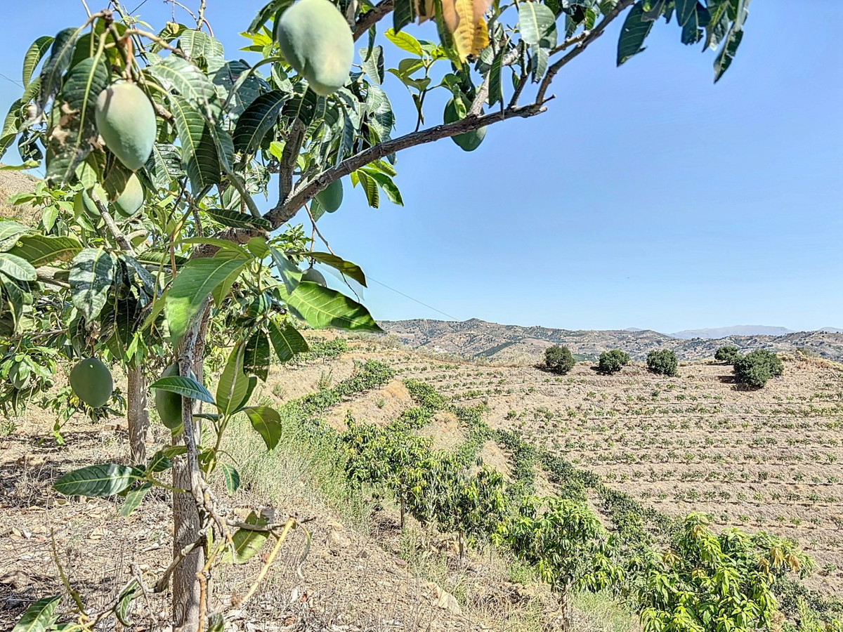 Se vende Terreno Rustico de 1 dormitorios en Costa Del Sol East, Málaga, España