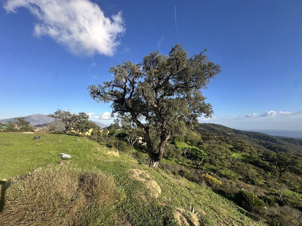 Se vende Terreno Rustico  en Costa Del Sol, Málaga, España