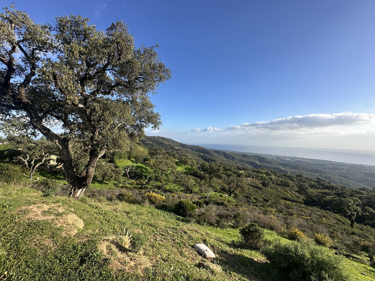 Se vende Terreno Rustico  en Costa Del Sol, Málaga, España