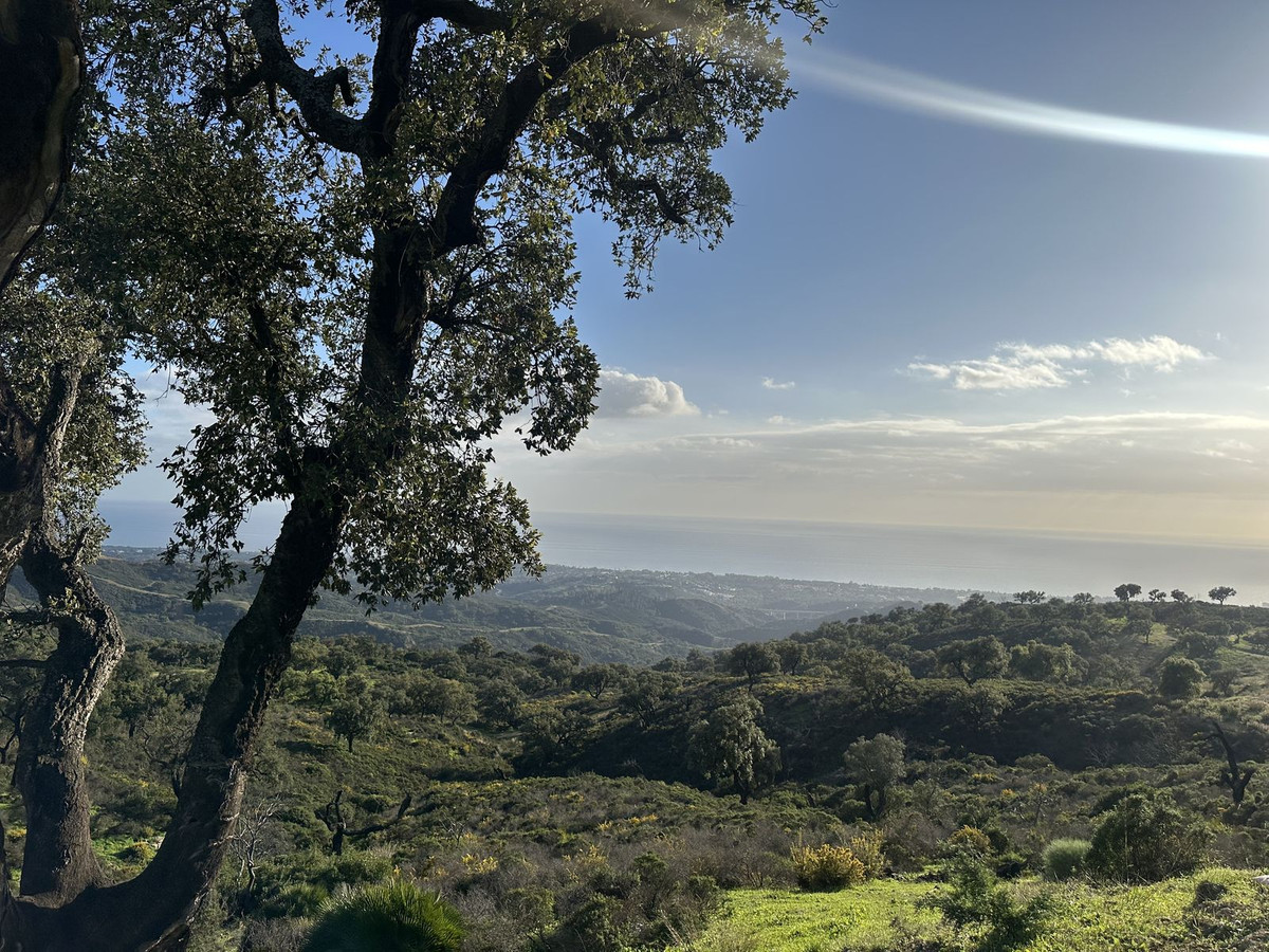 Se vende Terreno Rustico  en Costa Del Sol, Málaga, España