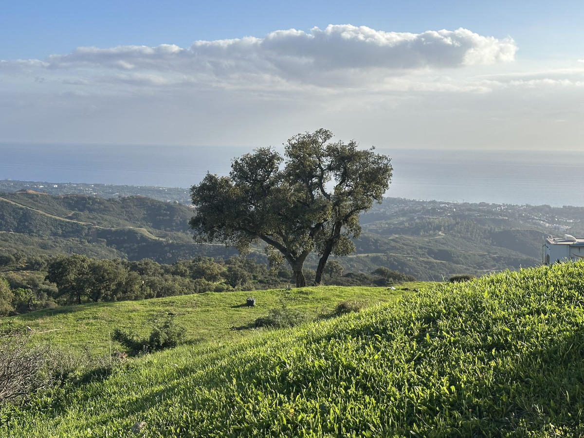 Se vende Terreno Rustico  en Costa Del Sol, Málaga, España
