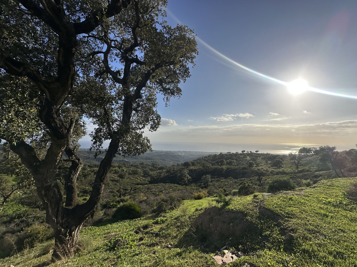 Se vende Terreno Rustico  en Costa Del Sol, Málaga, España
