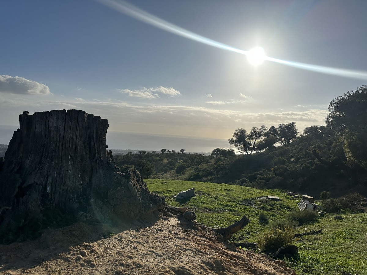 Se vende Terreno Rustico  en Costa Del Sol, Málaga, España