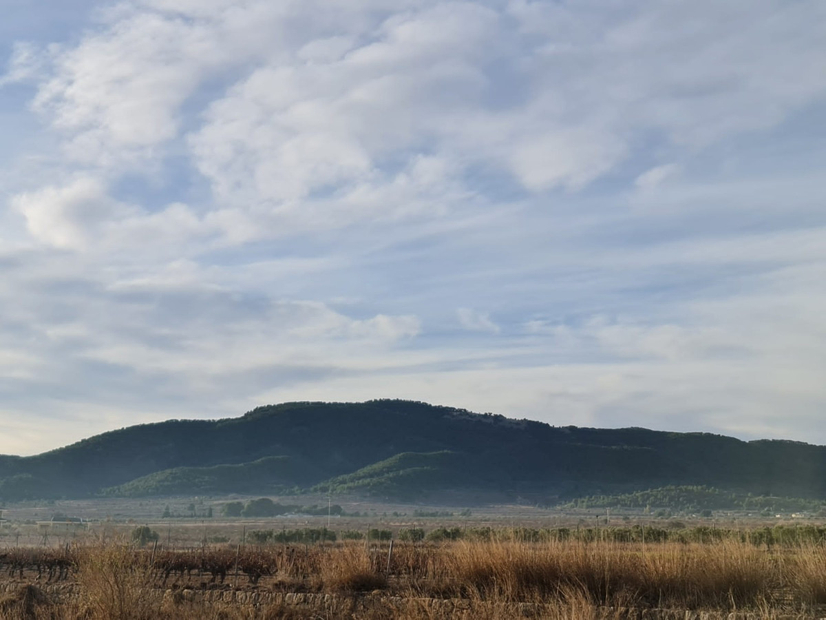 Se vende Terreno Rustico  en Costa Blanca, Alicante, España