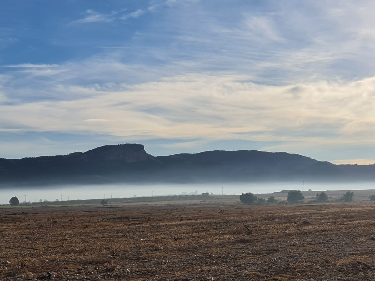 Se vende Terreno Rustico  en Costa Blanca, Alicante, España