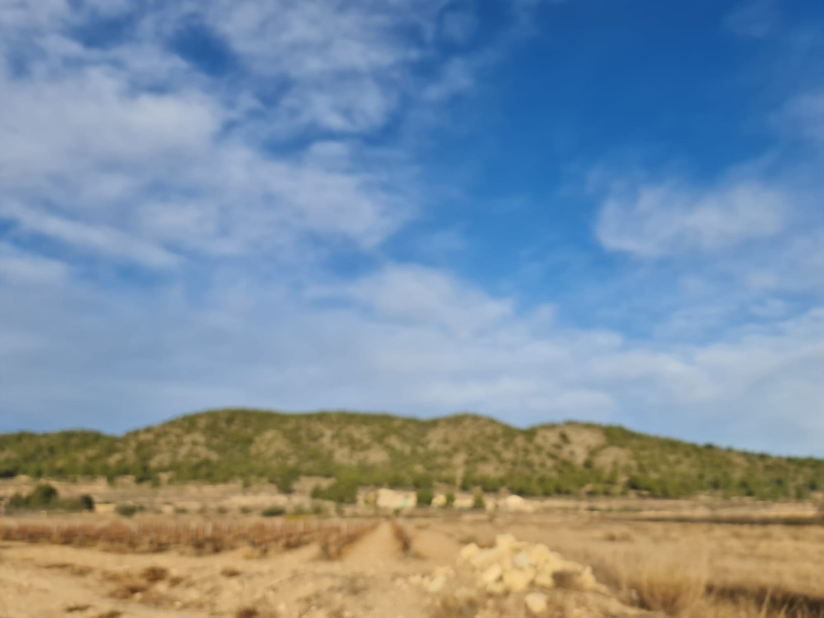 Se vende Terreno Rustico  en Costa Blanca, Alicante, España