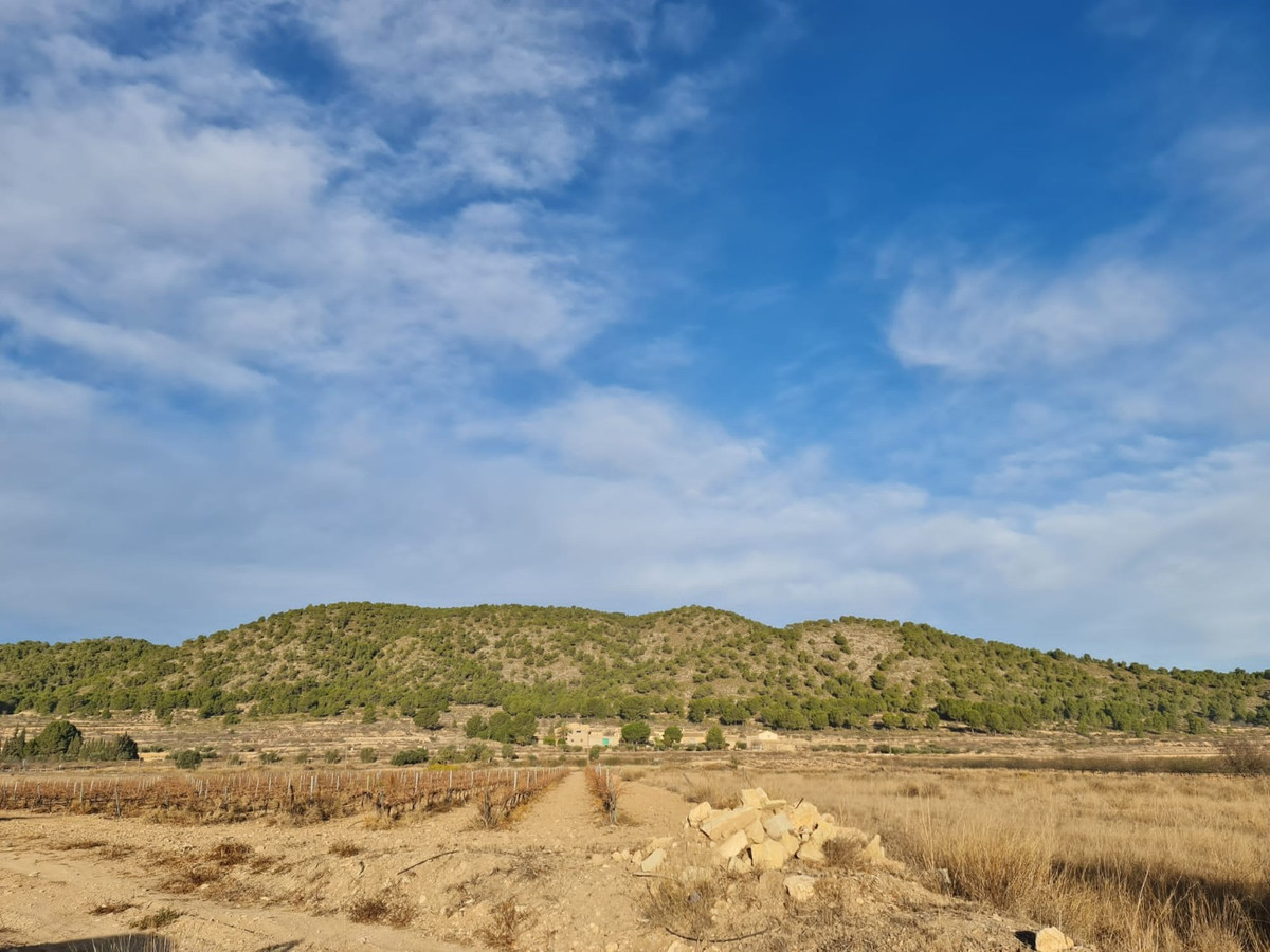 Se vende Terreno Rustico  en Costa Blanca, Alicante, España