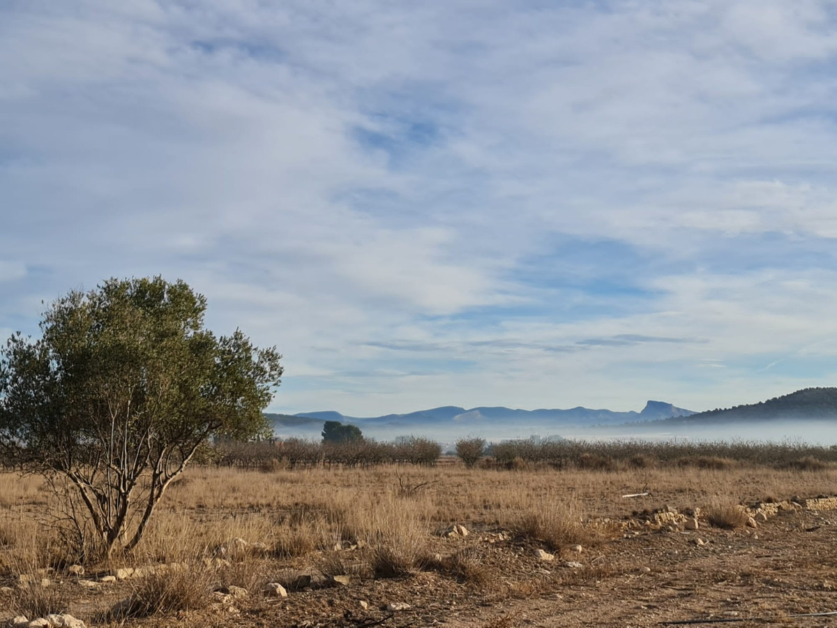 Se vende Terreno Rustico  en Costa Blanca, Alicante, España