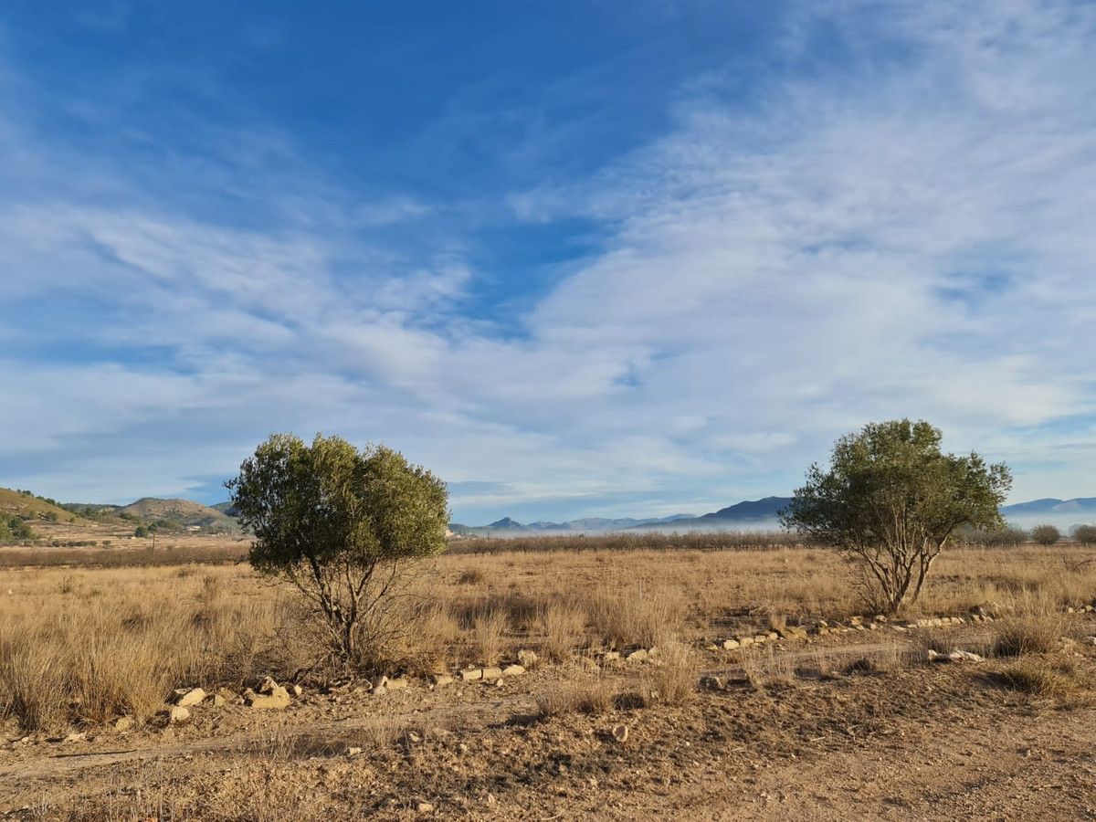Se vende Terreno Rustico  en Costa Blanca, Alicante, España
