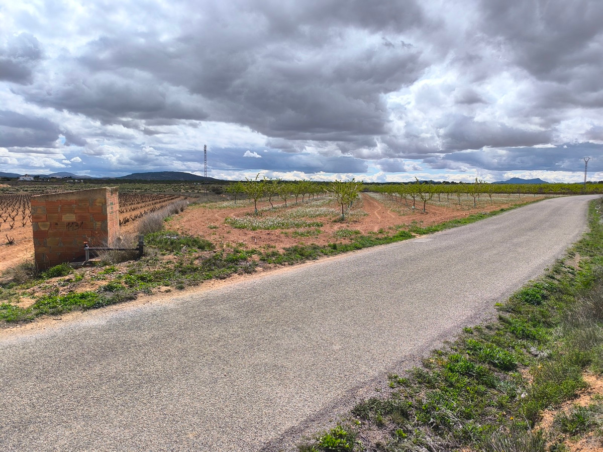 Se vende Terreno Rustico  en Costa Blanca, Alicante, España
