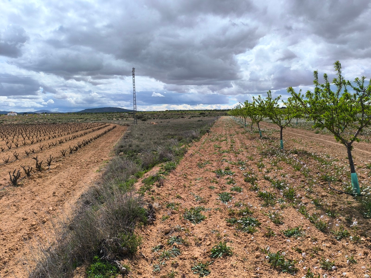 Se vende Terreno Rustico  en Costa Blanca, Alicante, España