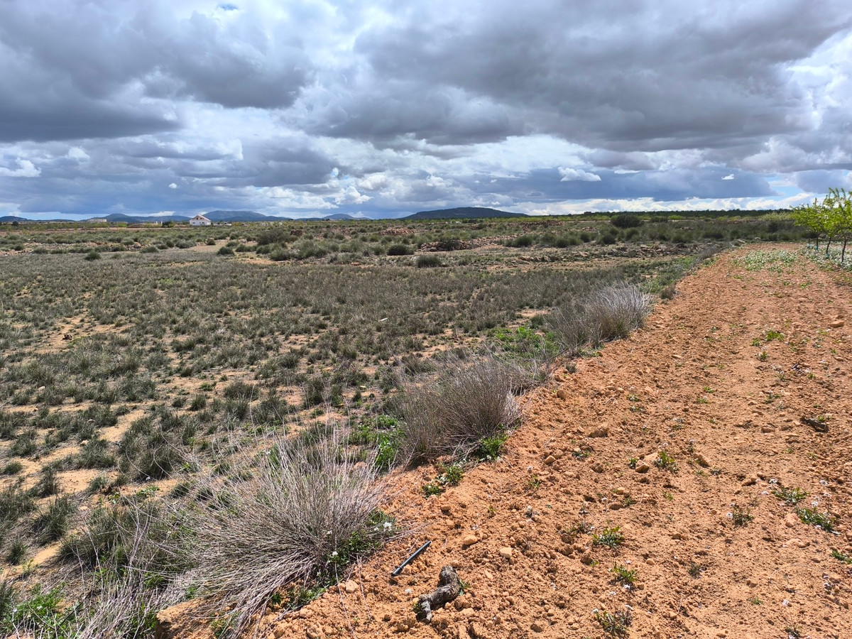 Se vende Terreno Rustico  en Costa Blanca, Alicante, España