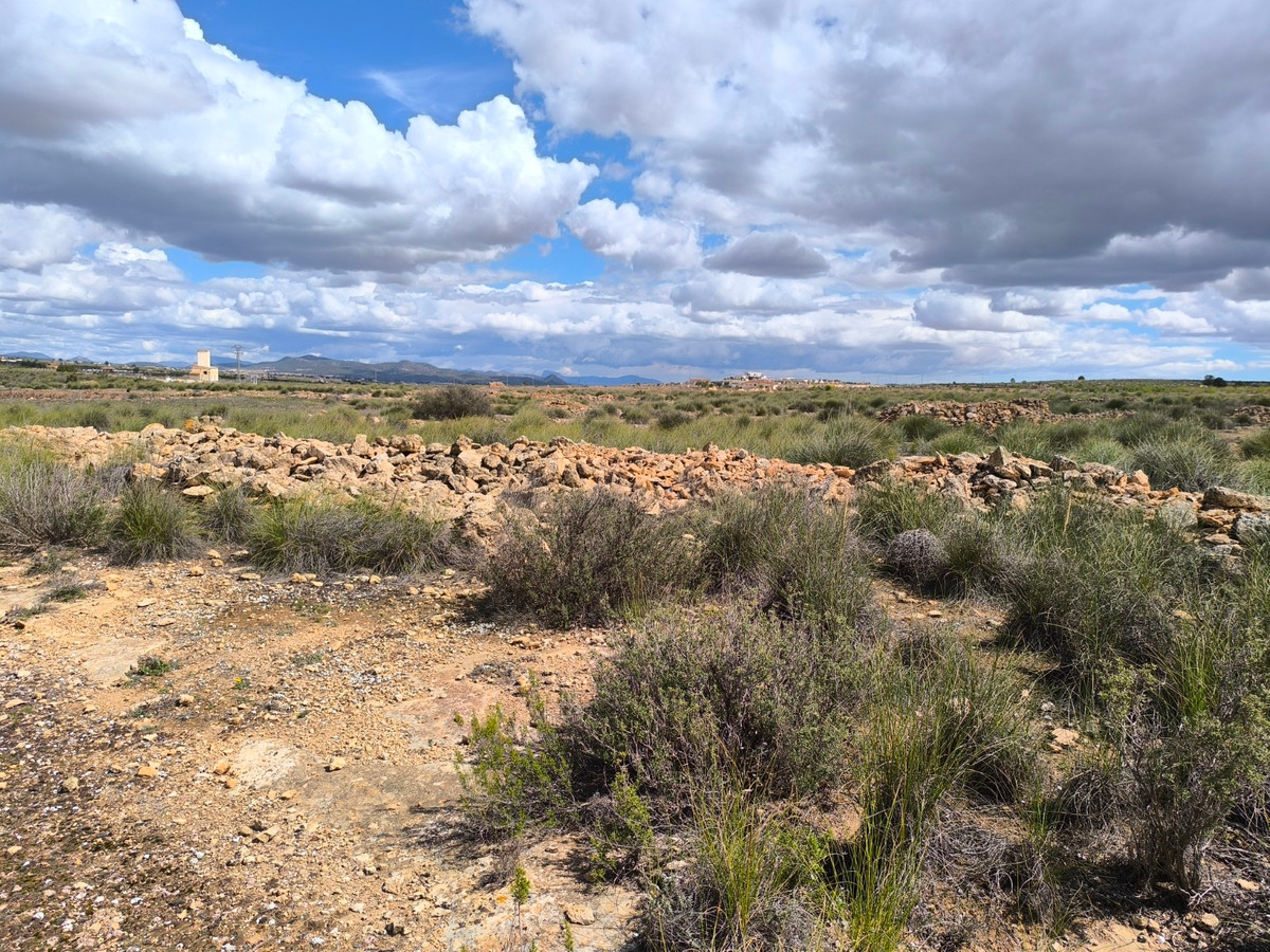 Se vende Terreno Rustico  en Costa Blanca, Alicante, España
