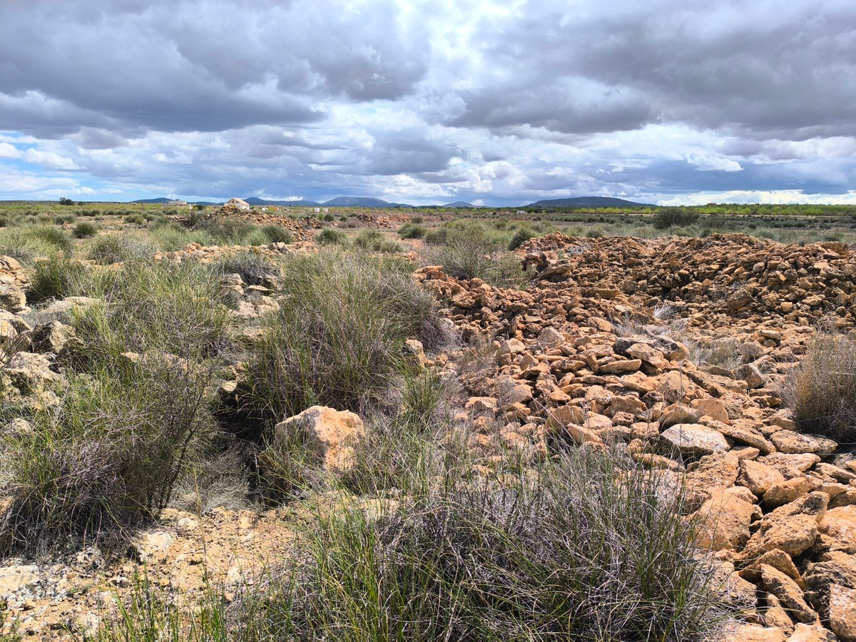 Se vende Terreno Rustico  en Costa Blanca, Alicante, España