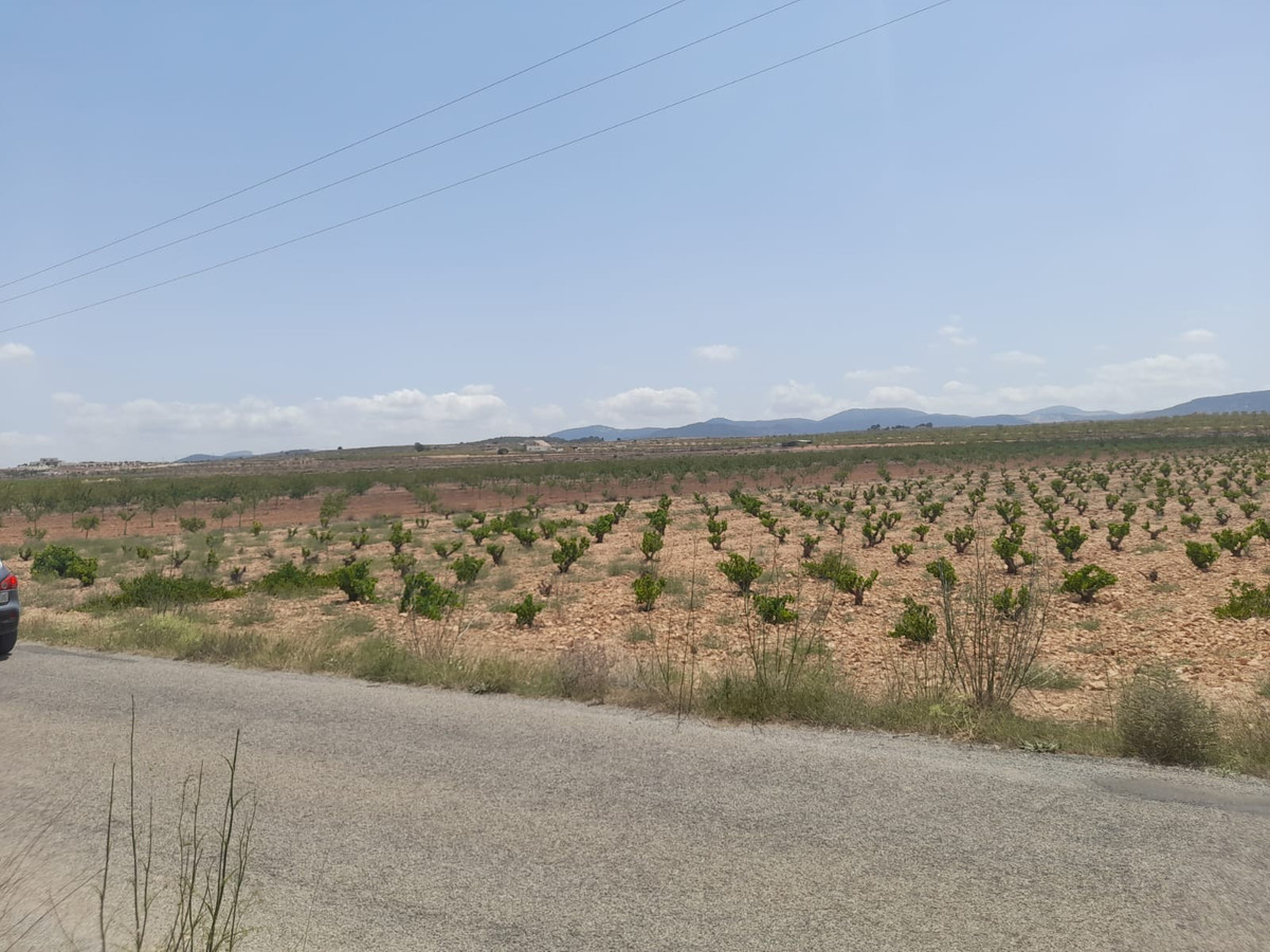 Plots for sale in Pinoso Costa Blanca, Alicante, Spain