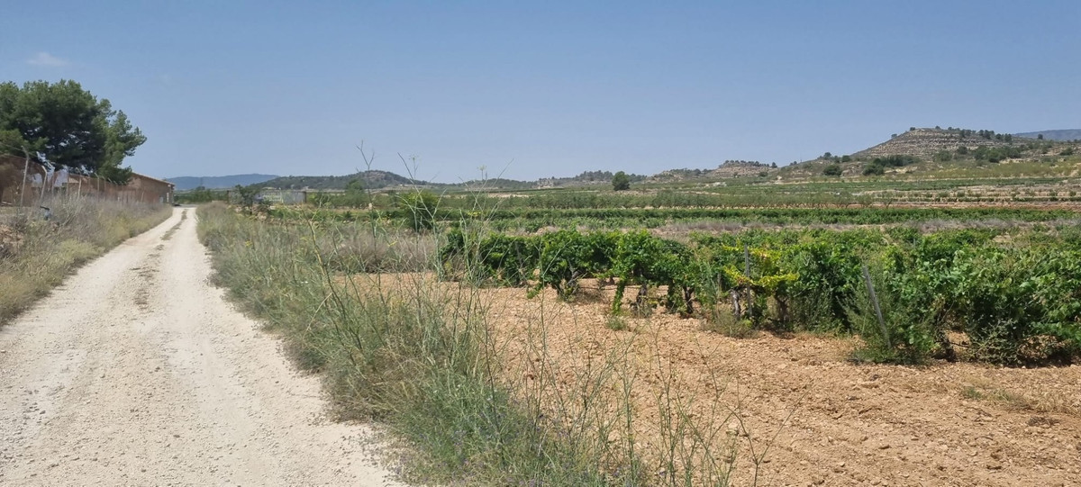 Se vende Terreno Rustico  en Costa Blanca, Alicante, España
