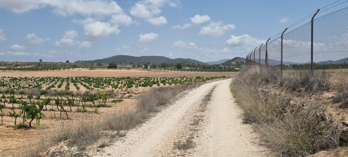 Se vende Terreno Rustico  en Costa Blanca, Alicante, España