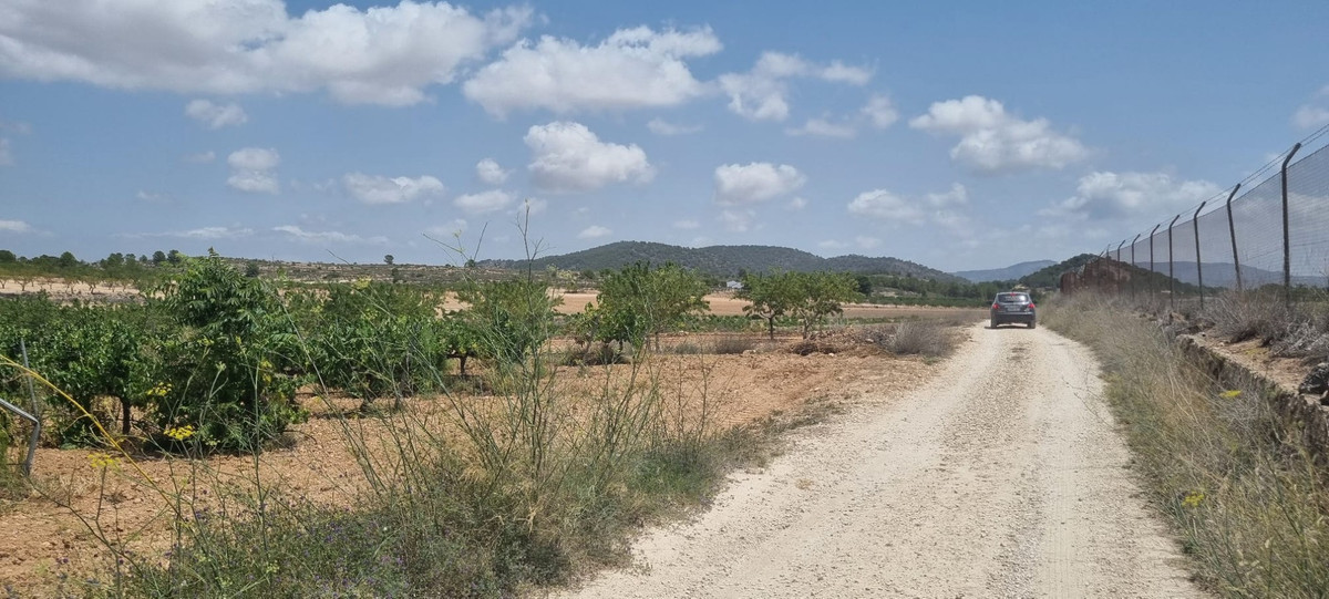 Se vende Terreno Rustico  en Costa Blanca, Alicante, España