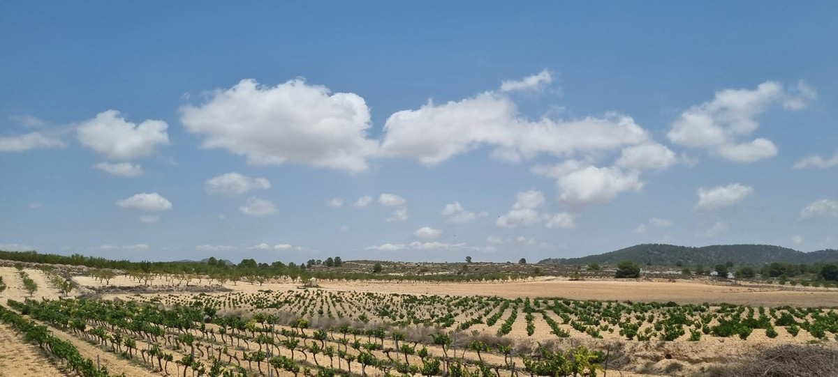 Se vende Terreno Rustico  en Costa Blanca, Alicante, España