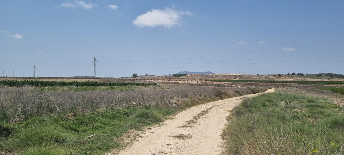 Se vende Terreno Rustico  en Costa Blanca, Alicante, España