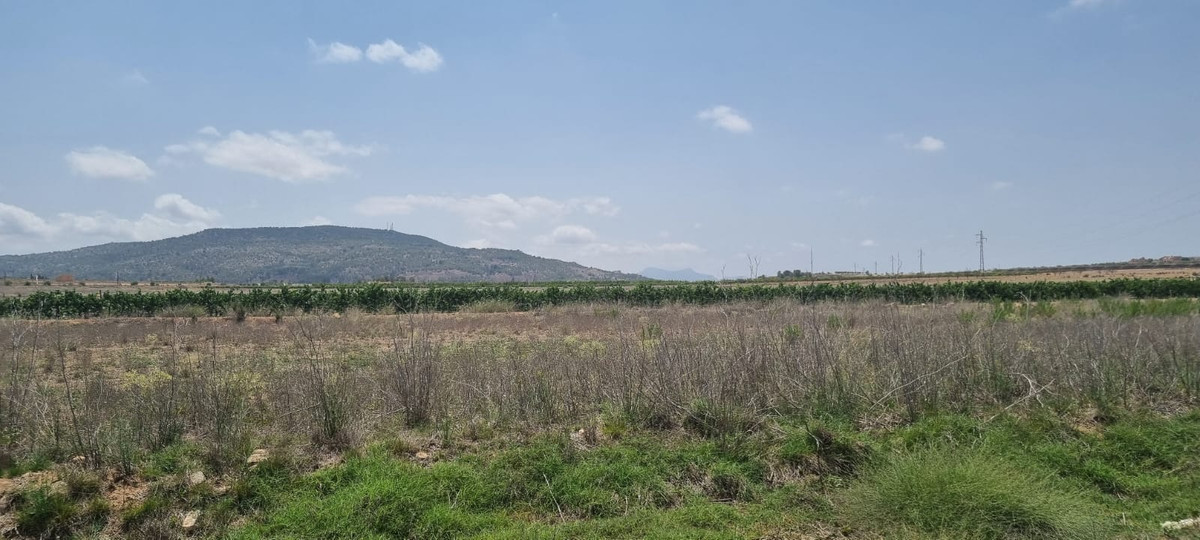Se vende Terreno Rustico  en Costa Blanca, Alicante, España