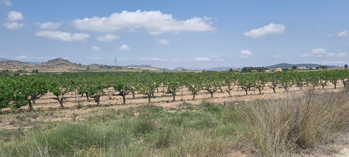 Se vende Terreno Rustico  en Costa Blanca, Alicante, España