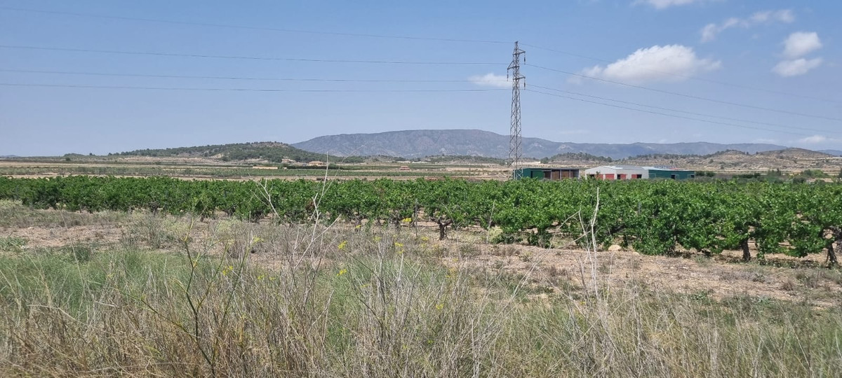 Se vende Terreno Rustico  en Costa Blanca, Alicante, España