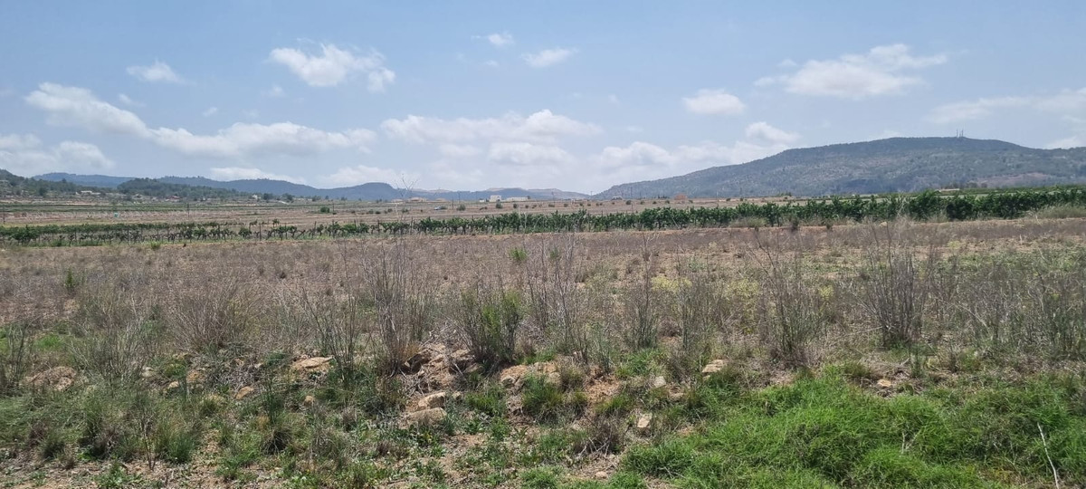 Se vende Terreno Rustico  en Costa Blanca, Alicante, España