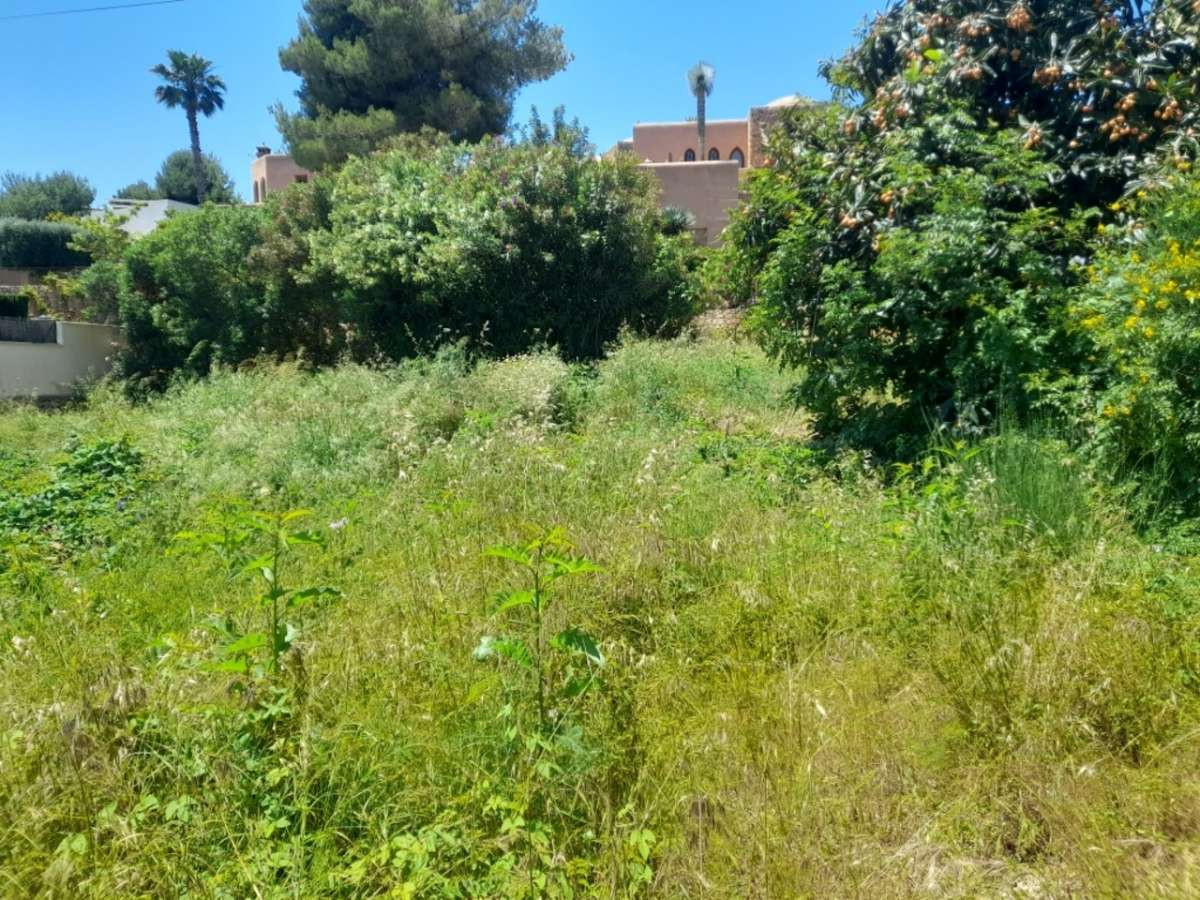 Se vende Terreno Rustico  en Costa Blanca, Alicante, España