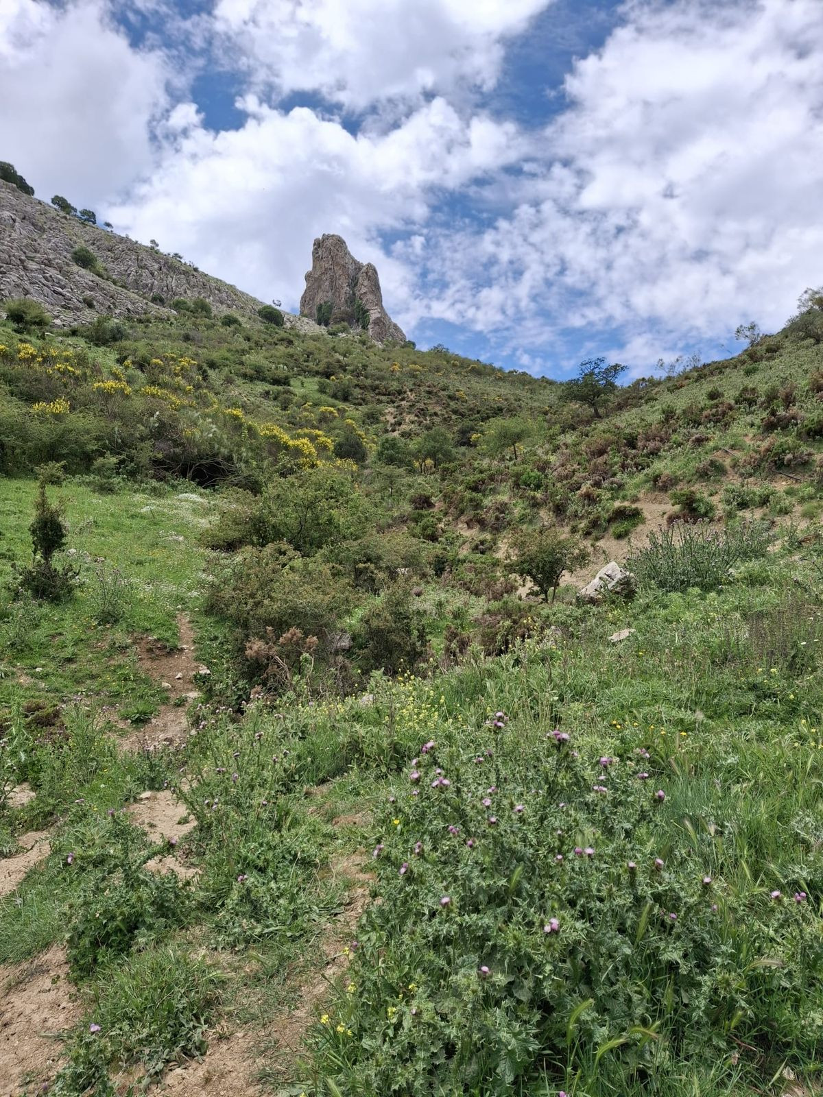 Plots for sale in Alfarnatejo Costa Del Sol East, Málaga, Spain