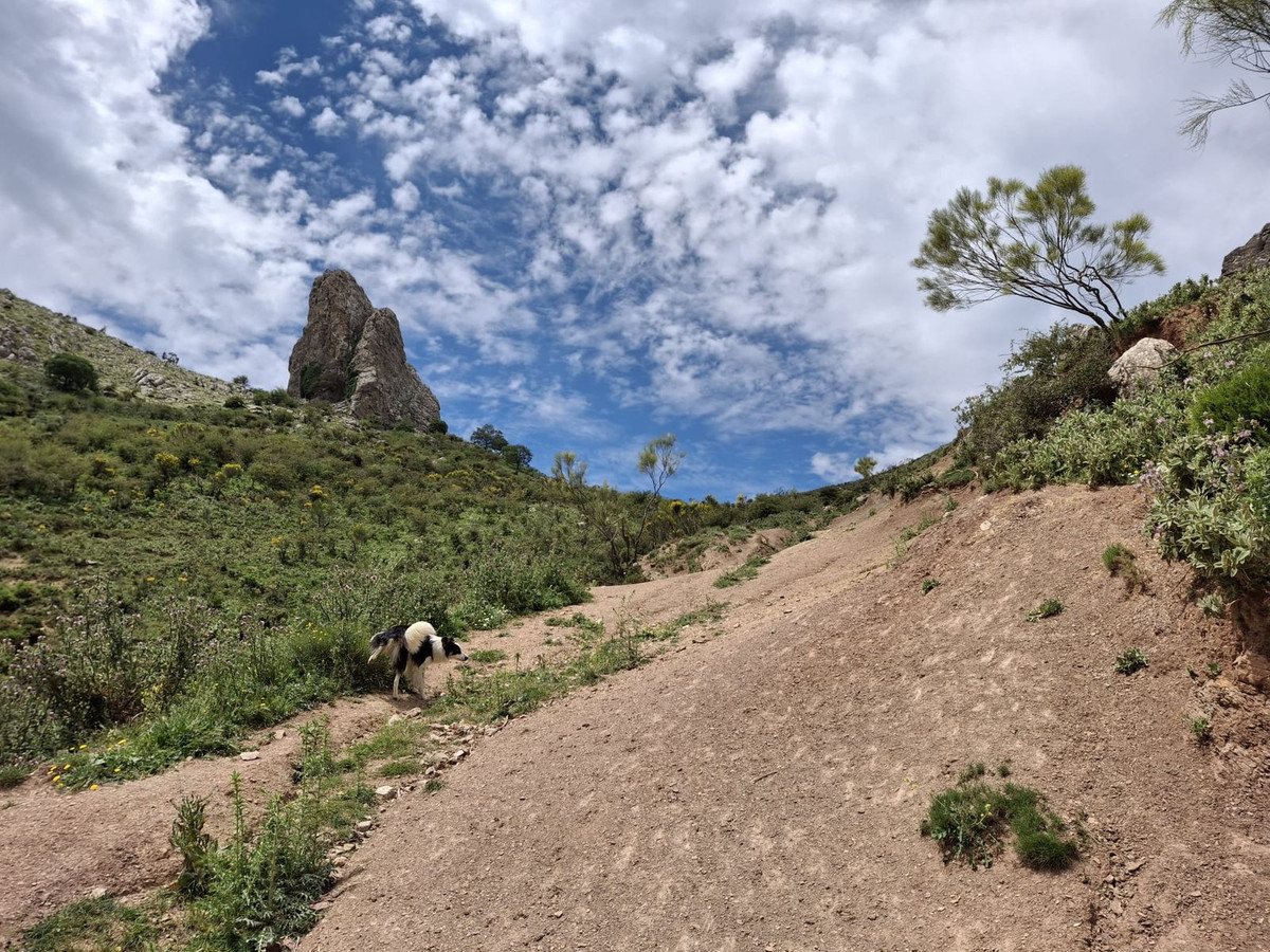 Plots for sale in Alfarnatejo Costa Del Sol East, Málaga, Spain