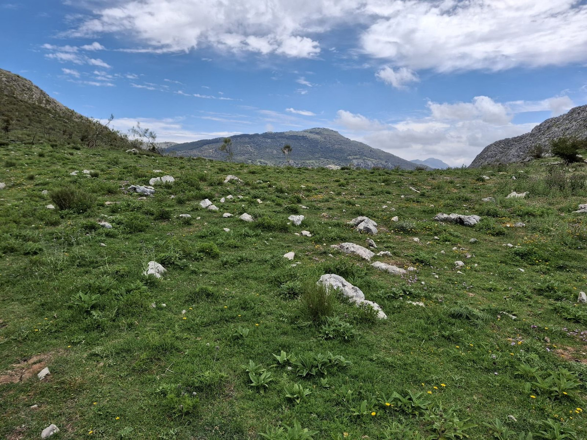 Plots for sale in Alfarnatejo Costa Del Sol East, Málaga, Spain