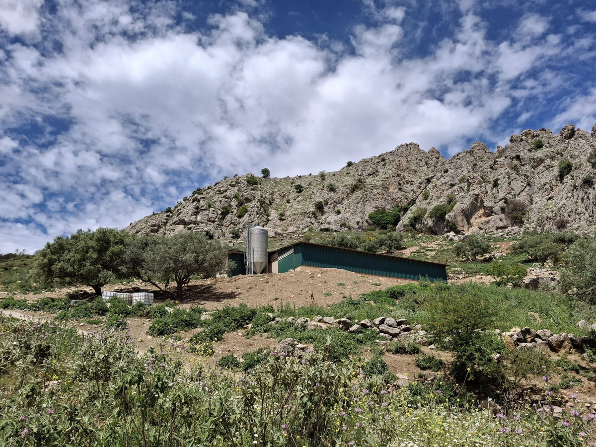 Plots for sale in Alfarnatejo Costa Del Sol East, Málaga, Spain