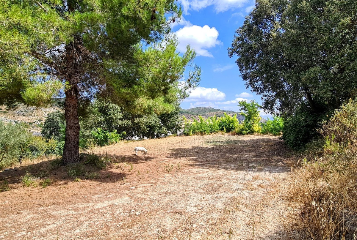 13 Bed Townhouse for sale in Muro De Alcoy Costa Blanca, Alicante, Spain