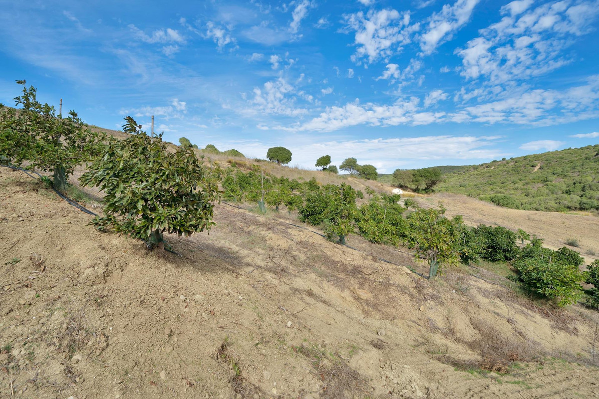 Plots for sale in Manilva Costa Del Sol, Málaga, Spain