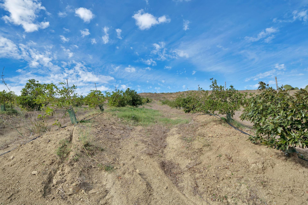 Plots for sale in Manilva Costa Del Sol, Málaga, Spain