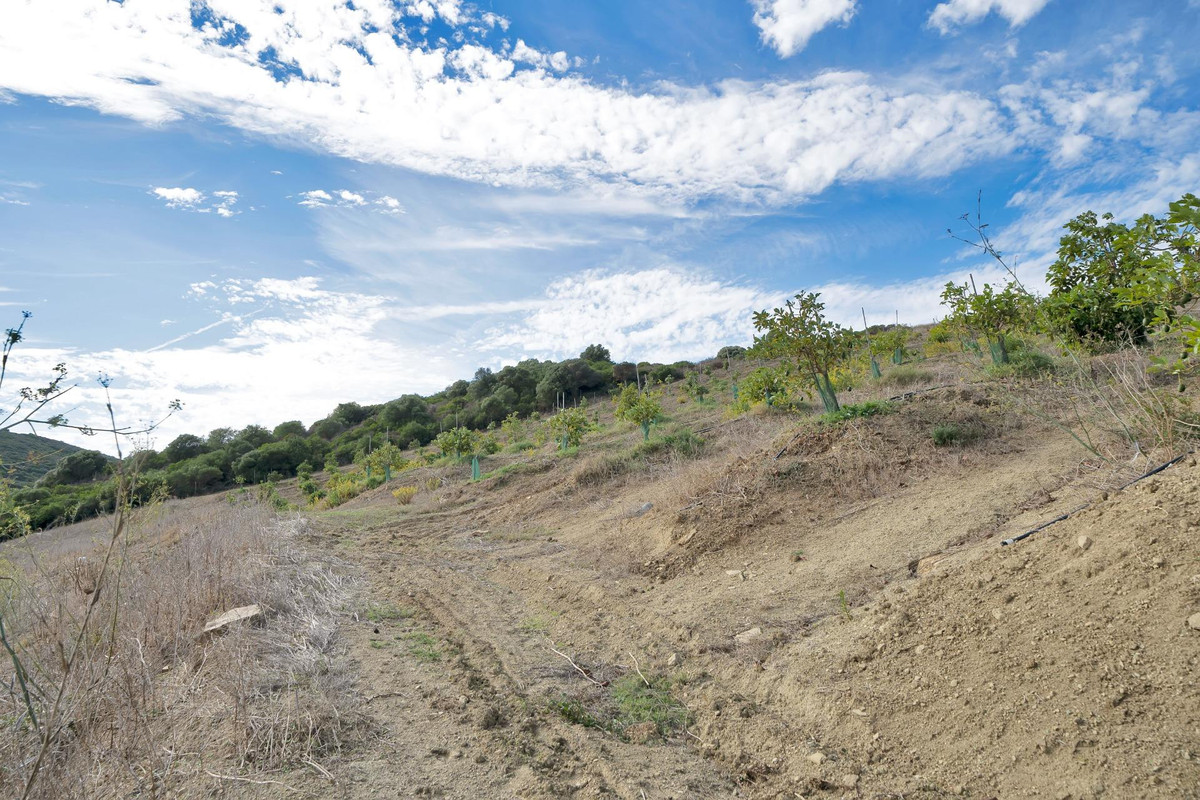 Plots for sale in Manilva Costa Del Sol, Málaga, Spain