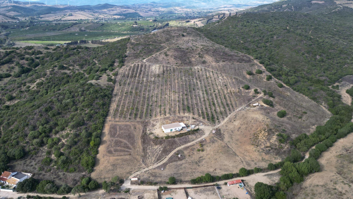 Plots for sale in Manilva Costa Del Sol, Málaga, Spain