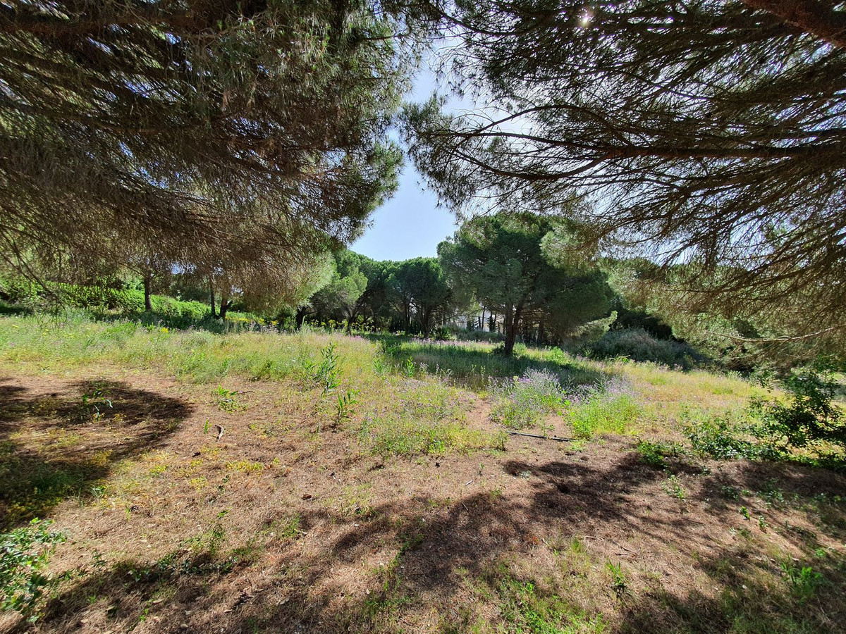 Plots for sale in Sotogrande Costa Del Sol, Cádiz, Spain
