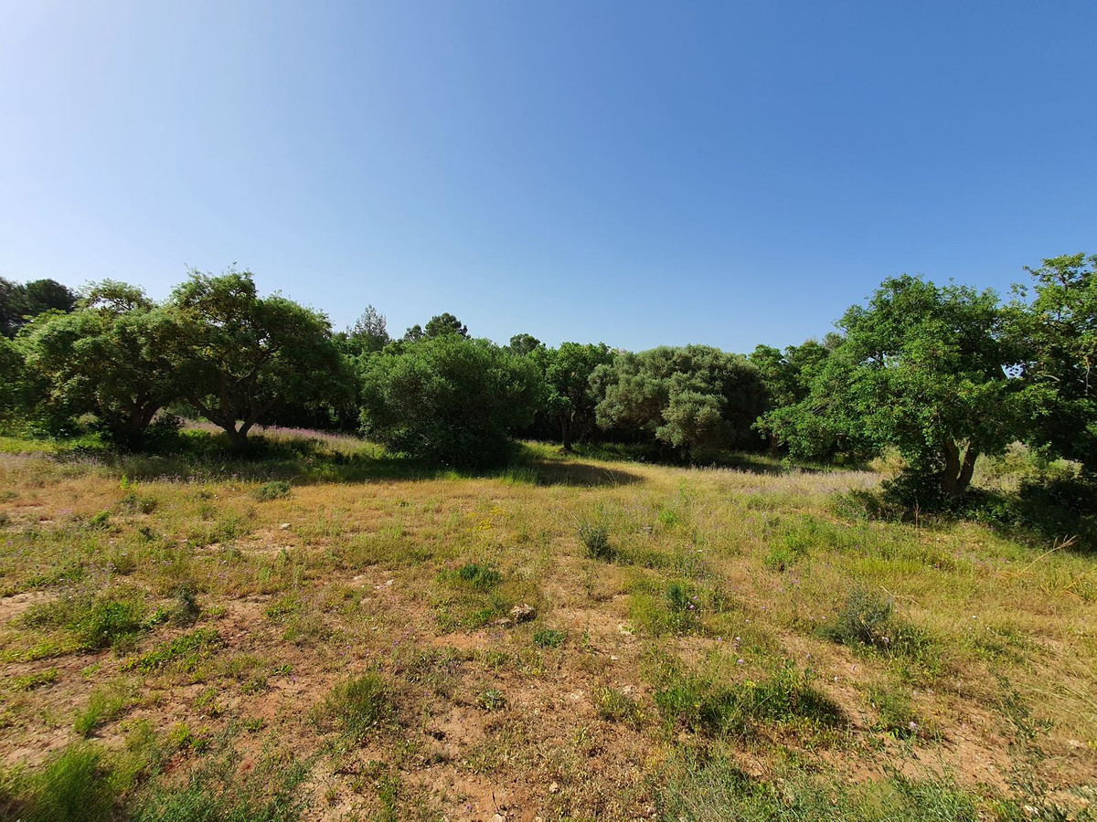 Plots for sale in Sotogrande Costa Del Sol, Cádiz, Spain