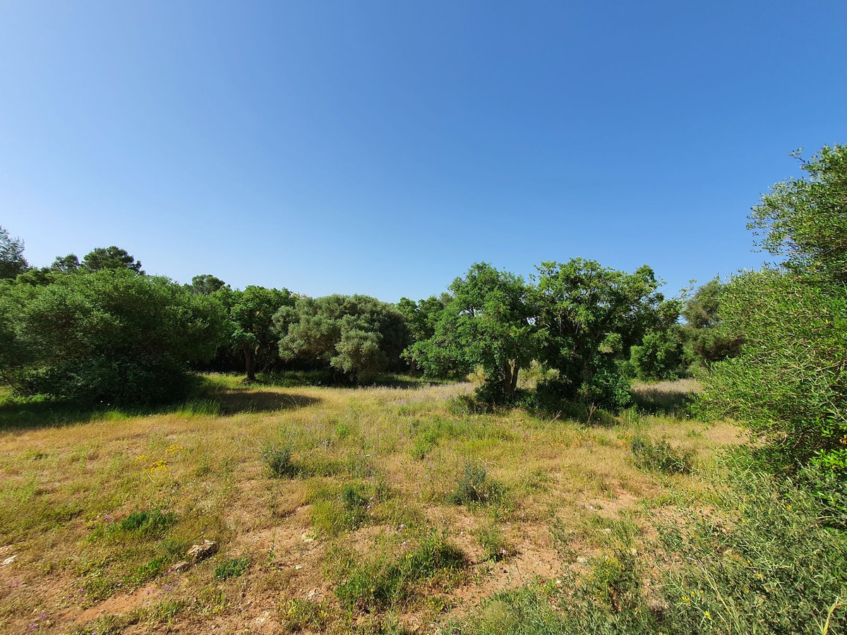 Plots for sale in Sotogrande Costa Del Sol, Cádiz, Spain