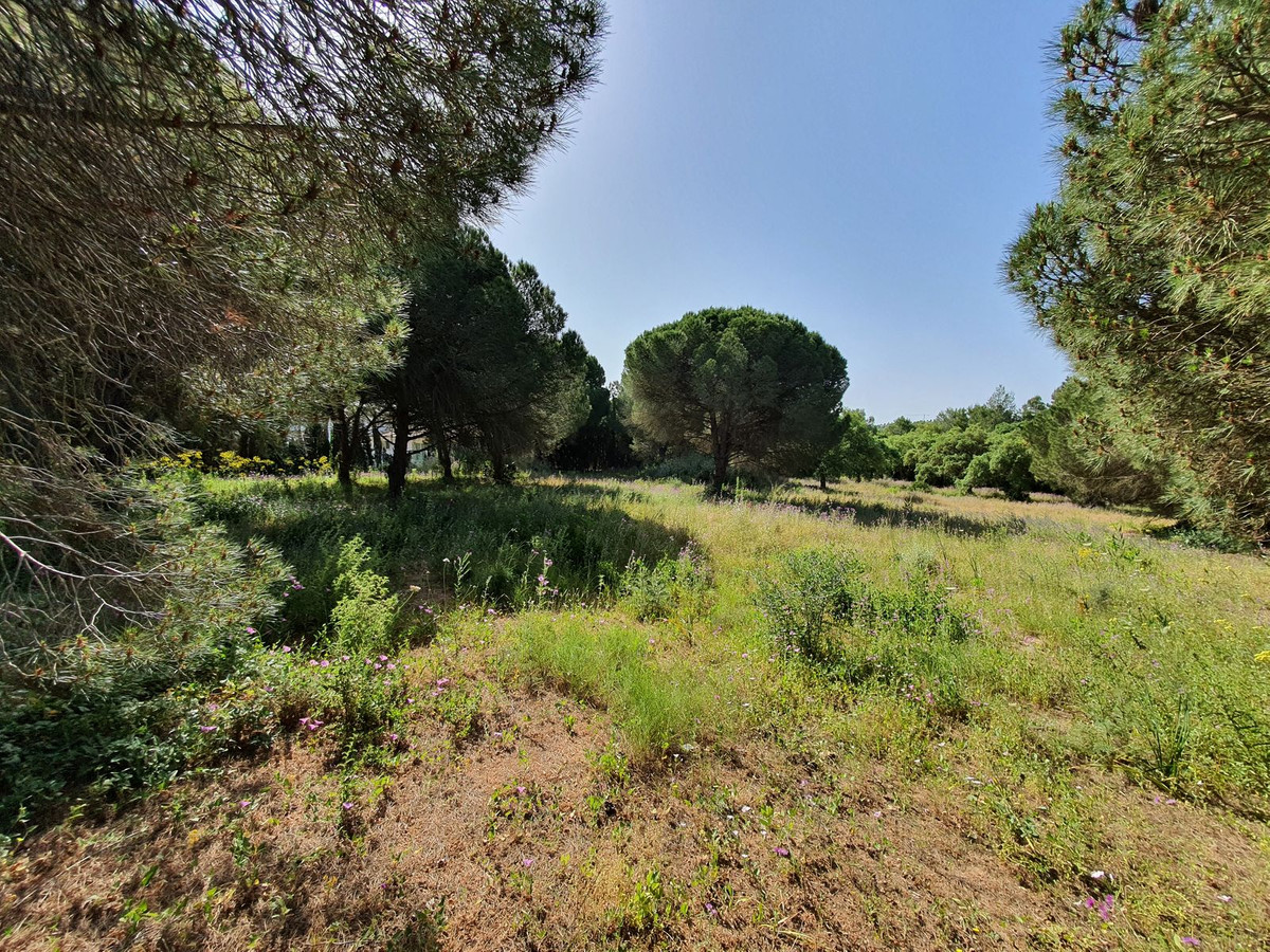 Plots for sale in Sotogrande Costa Del Sol, Cádiz, Spain