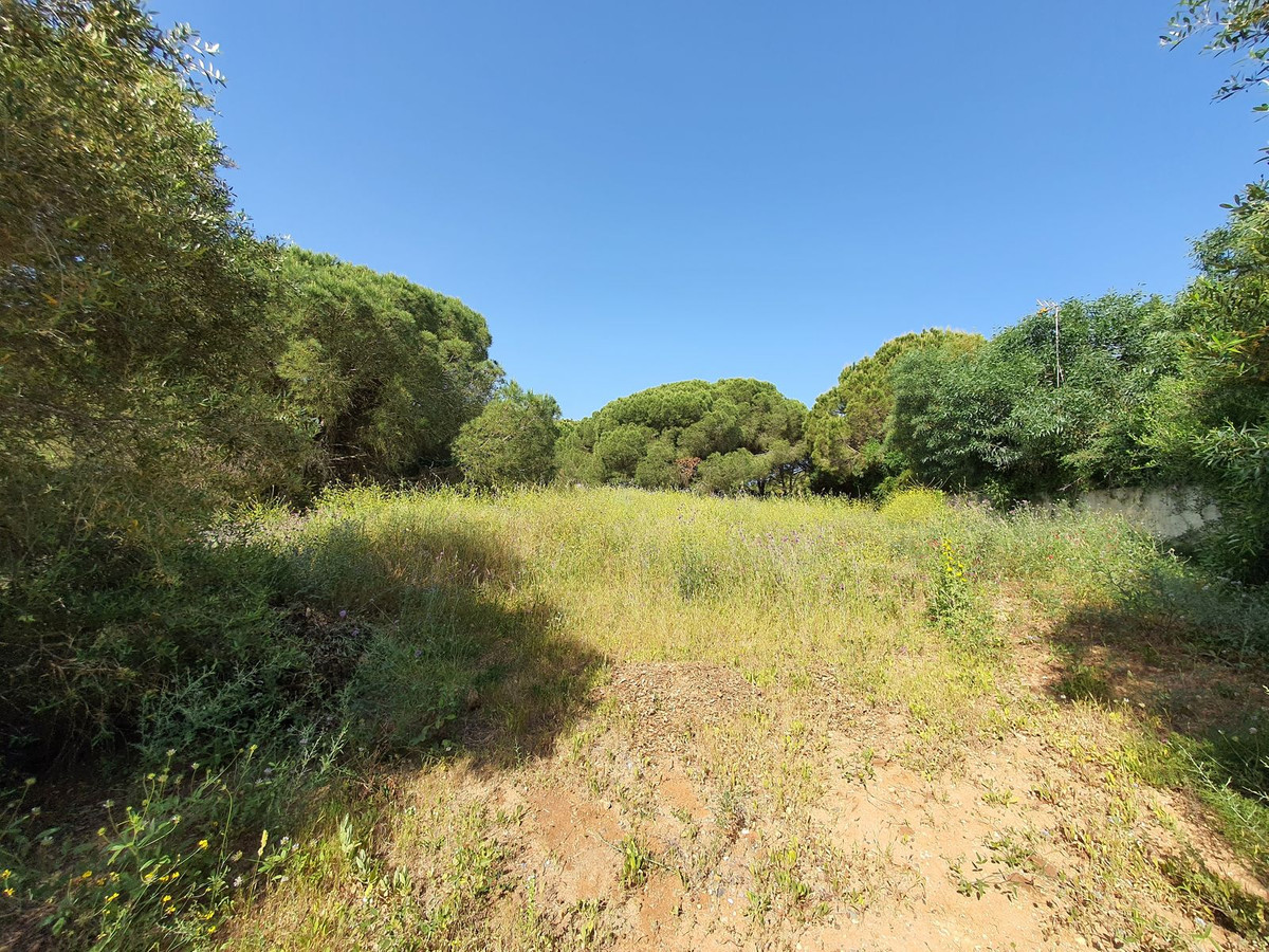 Plots for sale in Sotogrande Costa Del Sol, Cádiz, Spain