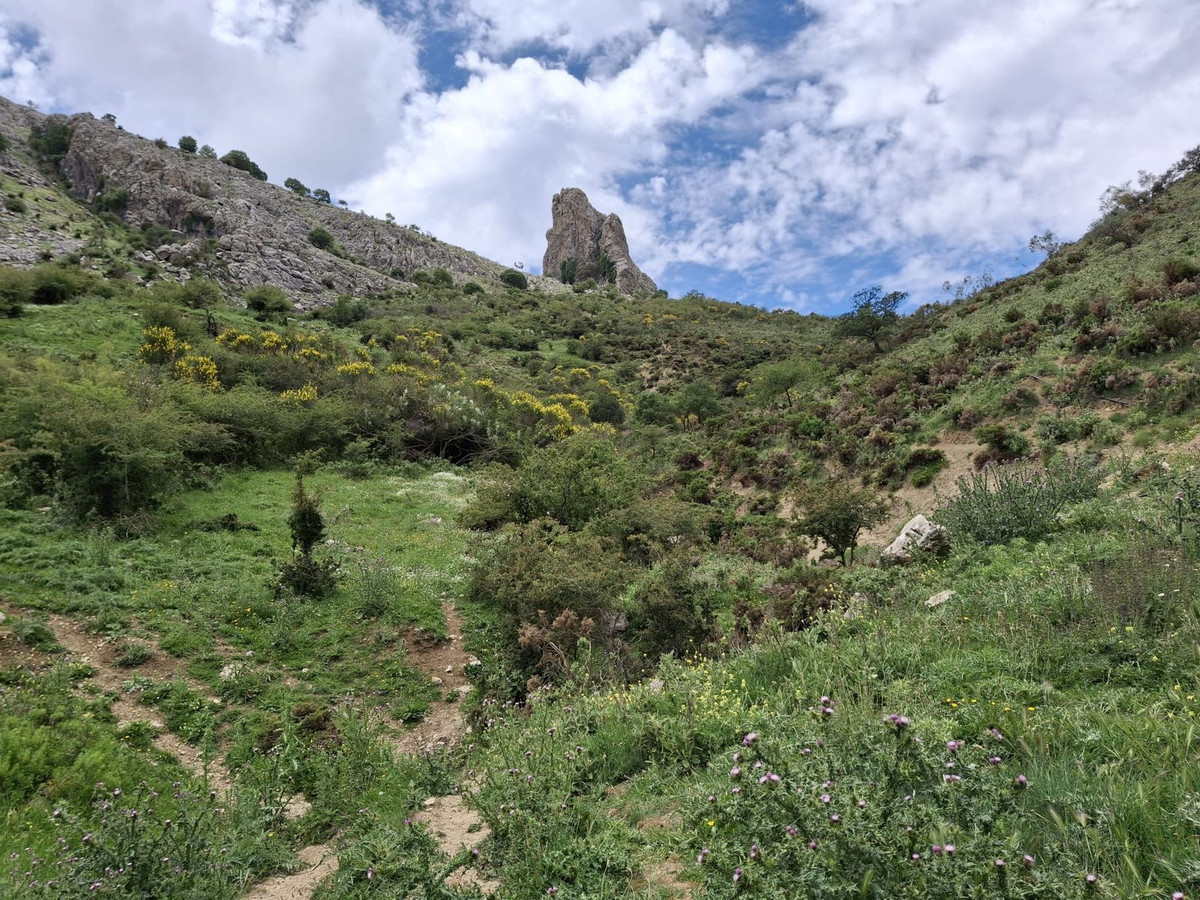 Plots for sale in Alfarnatejo Costa Del Sol East, Málaga, Spain