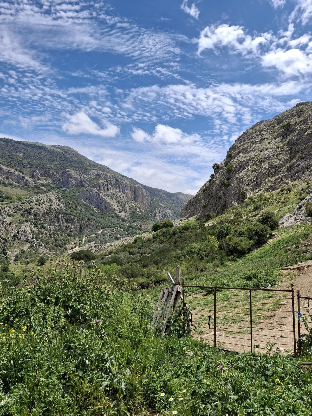 Plots for sale in Alfarnatejo Costa Del Sol East, Málaga, Spain
