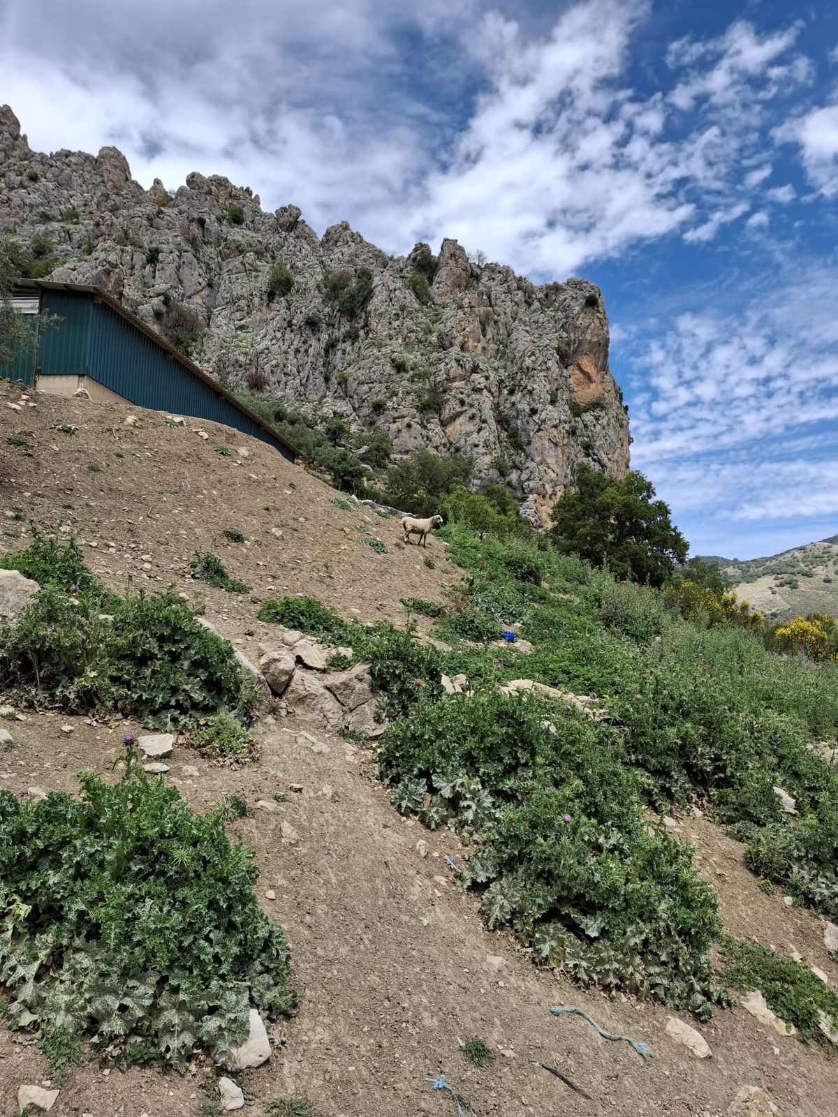 Plots for sale in Alfarnatejo Costa Del Sol East, Málaga, Spain