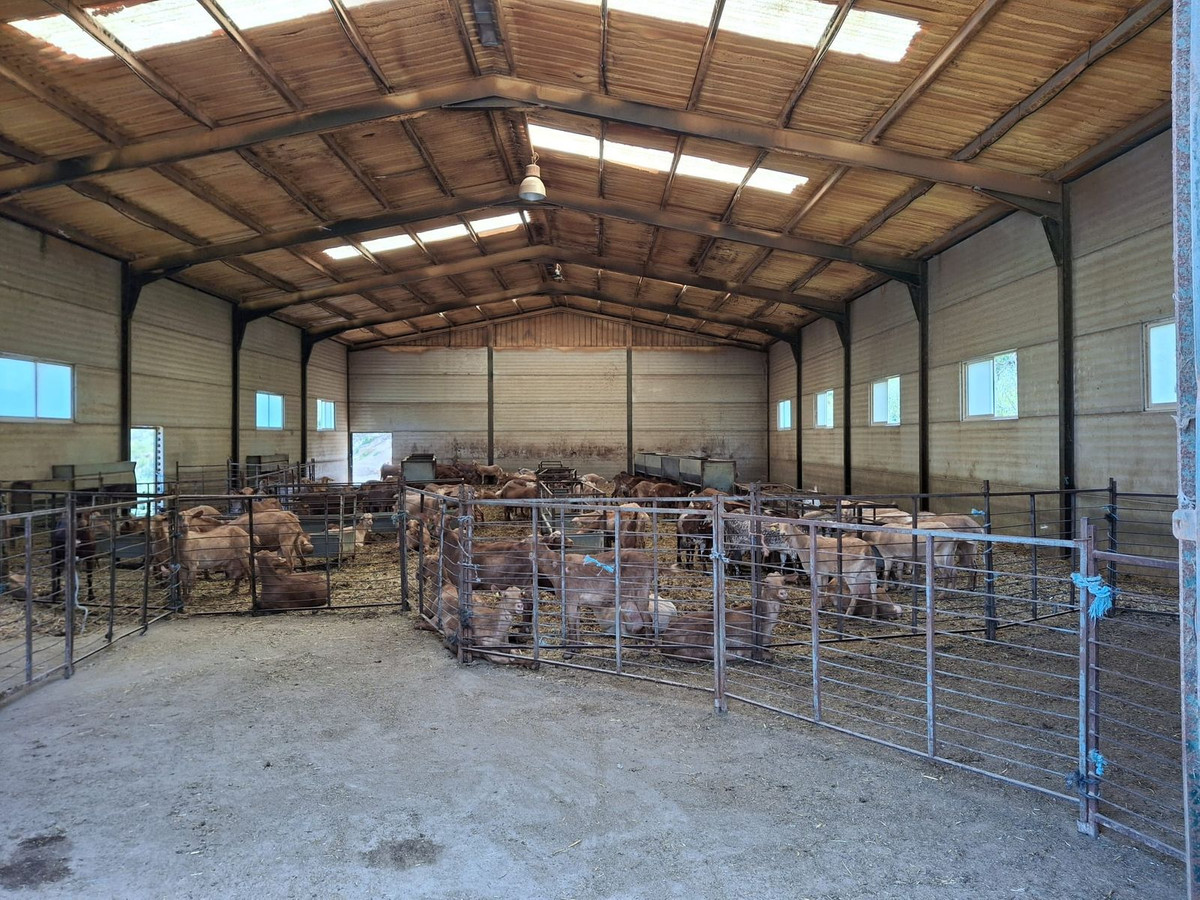Plots for sale in Alfarnatejo Costa Del Sol East, Málaga, Spain