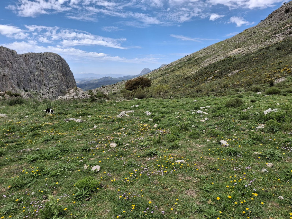 Plots for sale in Alfarnatejo Costa Del Sol East, Málaga, Spain