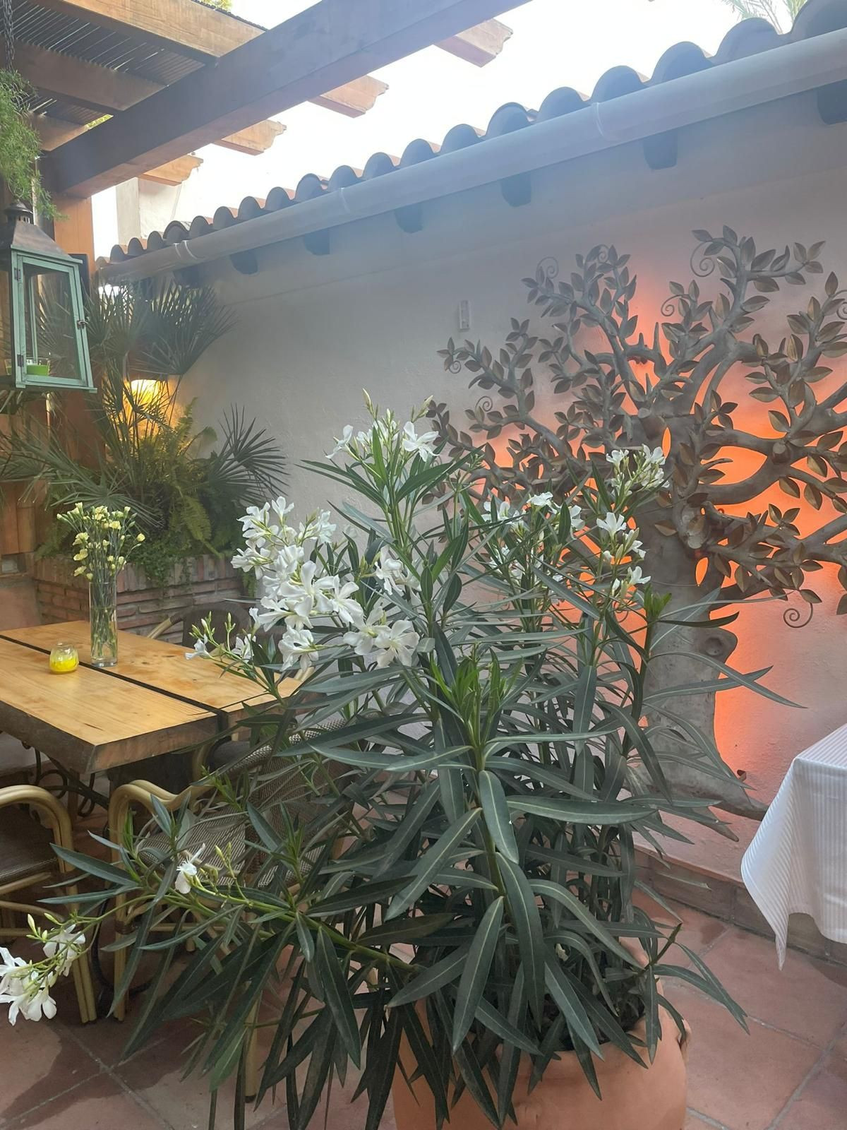 Se vende Restaurante  en Costa Del Sol, Málaga, España